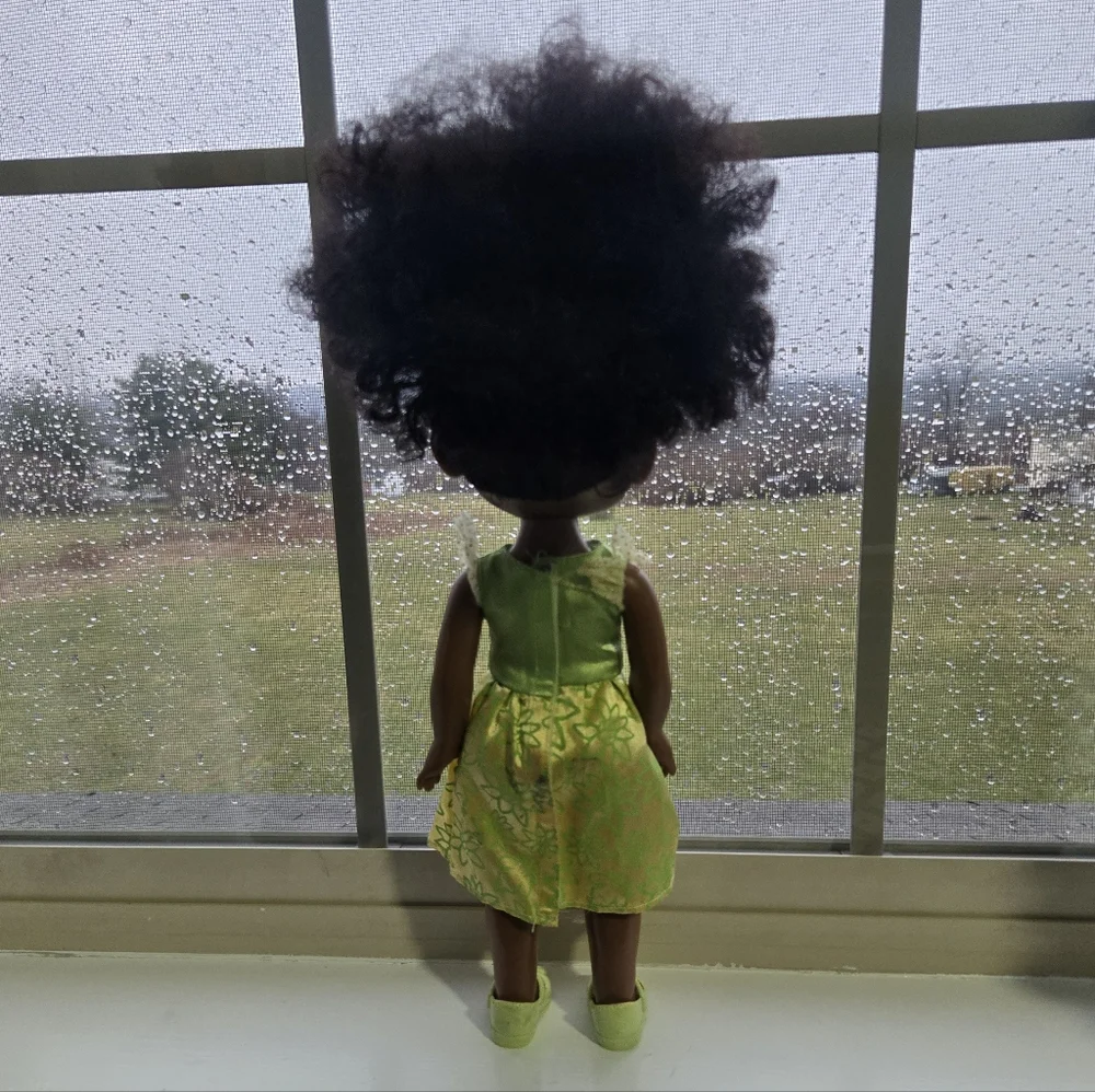 Disney Princess My Friend Tiana Doll Birthdays Gifting
